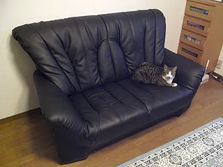 ニトリ 本革張り2人用ソファ(2ニンヨウソファ ロマーノ22021 カワ)